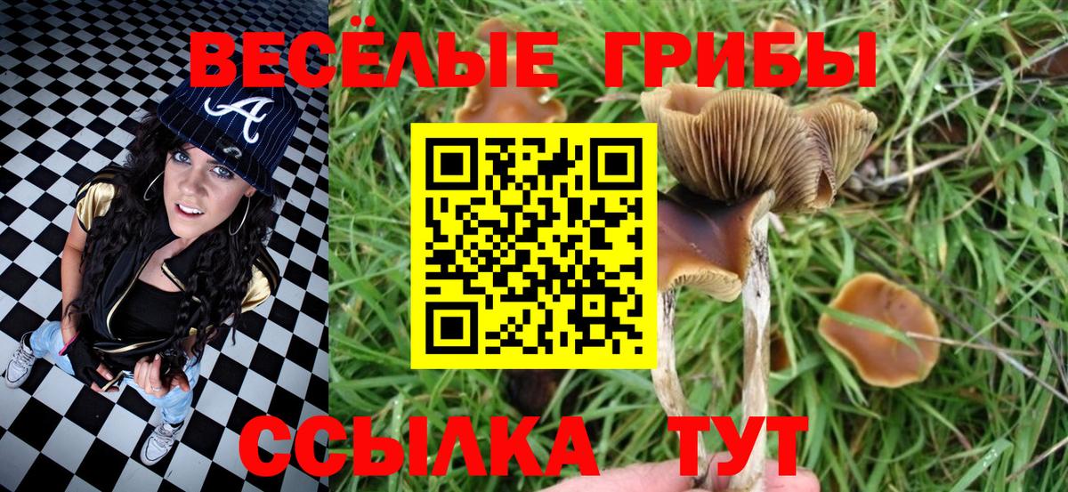 Галлюциногенные грибы Magic Shrooms Красногорск