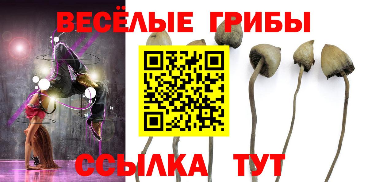 Галлюциногенные грибы прущие грибы  Вход с VPN  Псилоцибиновые грибы Psilocybine cubensis  Красногорск 